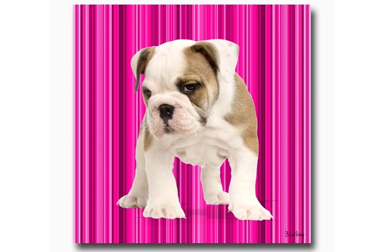 tableau chien fuschia