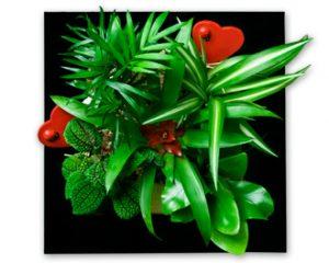 tableau vegetal coeur